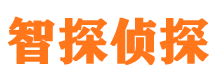 民勤市调查公司